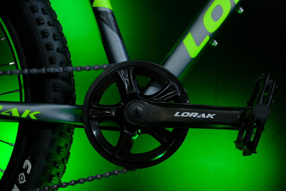 LORAK Safe PLUS 24 Серебристый/Зелёный