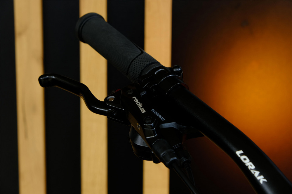 LORAK GLORY 250 HD Матовый Розовый/Золотой рама 19 (на рост 171-182)