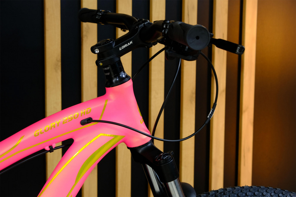 LORAK GLORY 250 HD Матовый Розовый/Золотой рама 17 (на рост 155-173)